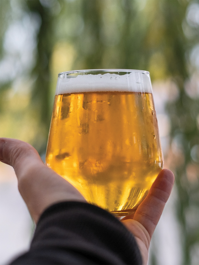 Cervejas Ultra ganham espaço